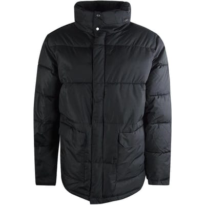 Aquascutum Heren Actief Pufferjack (Zwart)