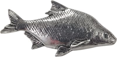 Visspeld Brasem Speldje Brasemspeld Vis Vissen Witvis Witvissen Feeder Speld Sierspeld Bream Pin