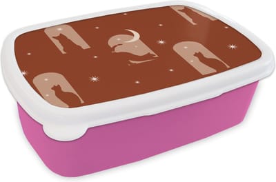 Broodtrommel Roze - Lunchbox - Brooddoos - Sterren - Kat - Design - 18x12x6 cm - Kinderen - Meisje
