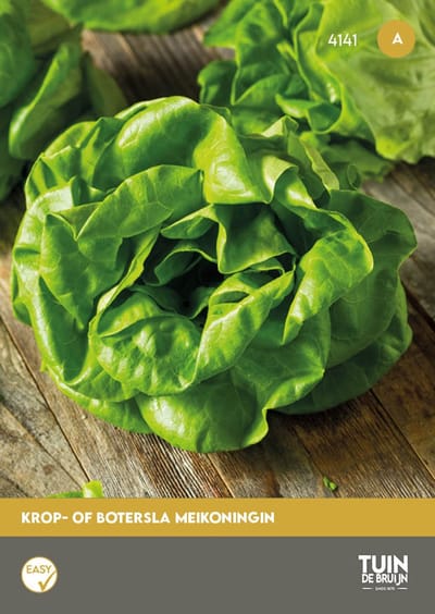 Botersla Meikoningin Zaden – Kropsla – Lactuca sativa – Groentezaden voor Moestuin, Kas & Verhoogde Bak
