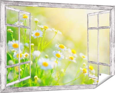 Gards Tuinposter Doorkijk Witte Kamille Bloemen met Zonneschijn - 150x100 cm - Tuindoek - Tuindecoratie - Wanddecoratie buiten - Tuinschilderij