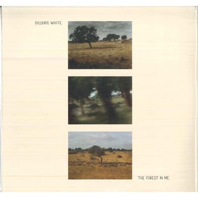 Forest In Me - Xylouris White