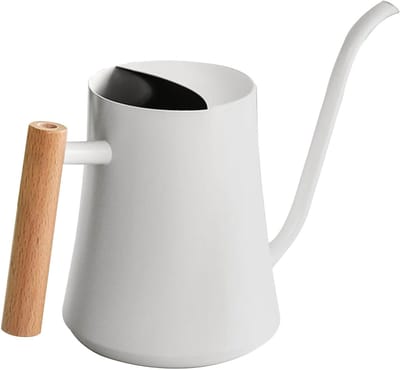 Gieter Roestvrijstaal - Waterketel Planten - Planten Water Geven - Lange Tuit - 1000 ml - Wit