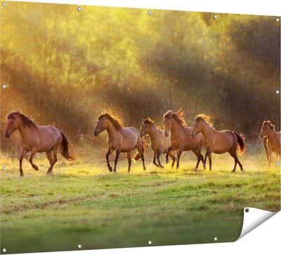 Gards Tuinposter Kudde Bruine Paarden in de Wei - 160x120 cm - Tuindoek - Tuindecoratie - Wanddecoratie buiten - Tuinschilderij