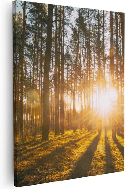Artaza Canvas Schilderij Zonsondergang - 40x50 cm - Wanddecoratie Bos - Muurdecoratie Landschap - Kamer Accessoires Natuur