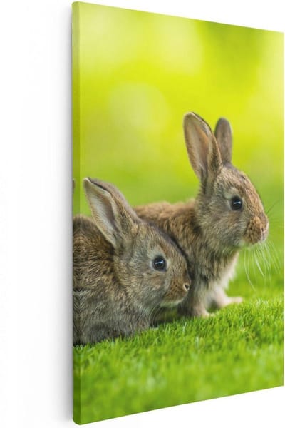 Artaza Canvas Schilderij Konijn - 20x30 cm - Klein - Wanddecoratie Dieren - Muurdecoratie Woonkamer - Kamer Accessoires