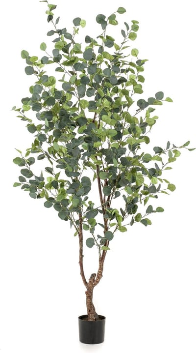Kunstplant - Eucalyptus - Blauwe Gomboom - 180 cm