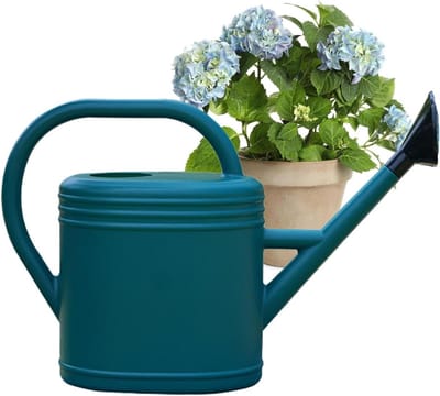 Gieter met Lange Uitloop - Waterkoker Planten - Planten Water Geven - Verstelbare Sproeikop - 5 Liter - Groen