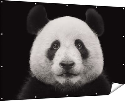 Gards Tuinposter Panda - Pandakop - 180x120 cm - Tuindoek - Tuindecoratie - Wanddecoratie buiten - Tuinschilderij