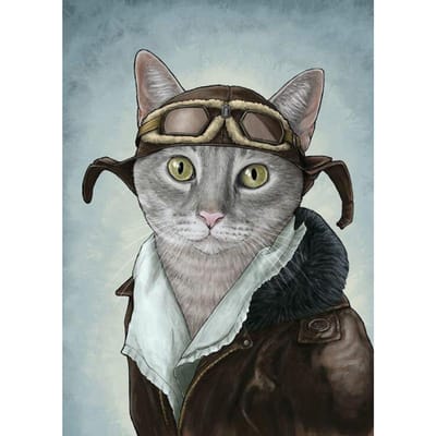 Peinture diamant 5D à faire soi-même, chat pilote, broderie 3D, point de croix, strass, mosaïque, décor 20X30CM black
