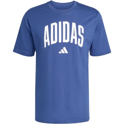adidas Sportswear Collegiate Lineage Graphic T-shirt - Heren - Blauw