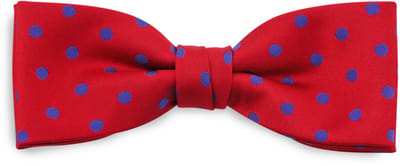 We Love Ties - Strikken - Strik Satin Dot - rood / paars