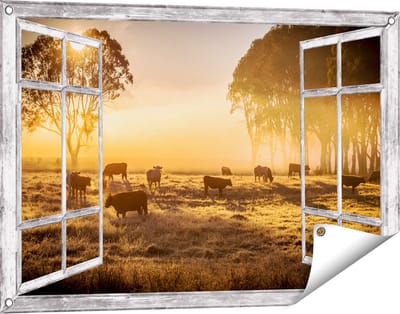 Gards Tuinposter Doorkijk Kudde Koeien in de Wei met Zonsopkomst - 90x60 cm - Tuindoek - Tuindecoratie - Wanddecoratie buiten - Tuinschilderij