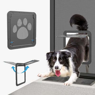 Kattenluik voor Binnendeuren – ABS – Magnetisch Zelfsluitend – Met Schuifslot – Voor Huisdieren