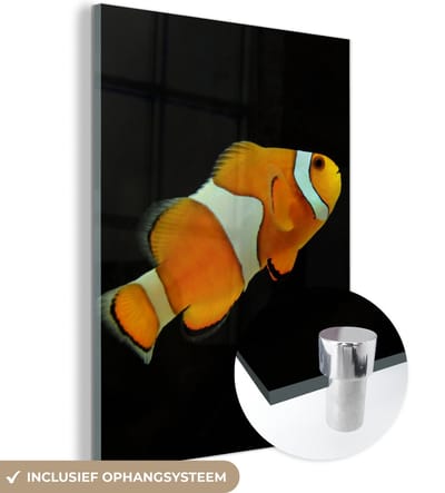 MuchoWow® Glasschilderij 120x160 cm - Schilderij acrylglas - Vis - Lijn - Zwart - Foto op glas - Schilderijen