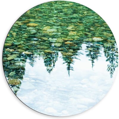 Dibond Wandcirkel - Weerspiegeling van Bomen in Water - 60x60cm Foto op Aluminium Wandcirkel (met ophangsysteem)