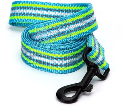 Nobleza Hondenriem Reflecterend - Hondenlijn - Uitlaatriem Hond - Nylon - 120 cm x 2 cm - Groen