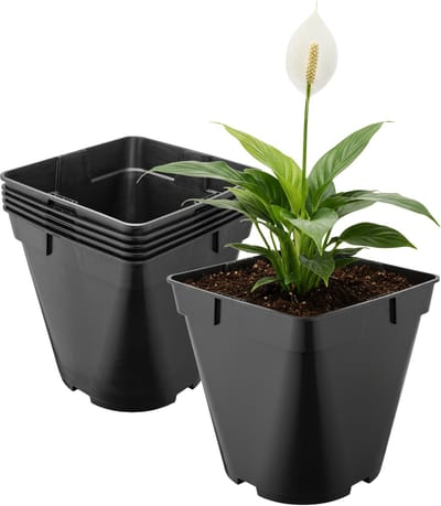 Garronda Set van 5 afgeronde vierkante kunststof bloempotten met drainagegaten voor tuin (Zwart, 18 x 18 x 18 cm (4L)) GD-KW-SR