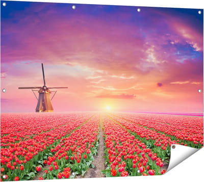 Gards Tuinposter Rode Rozen Bloemenveld met een Windmolen - 120x90 cm - Tuindoek - Tuindecoratie - Wanddecoratie buiten - Tuinschilderij