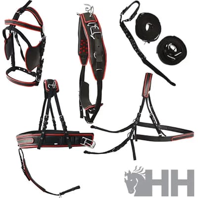 Paardentuig Hispano Hipica