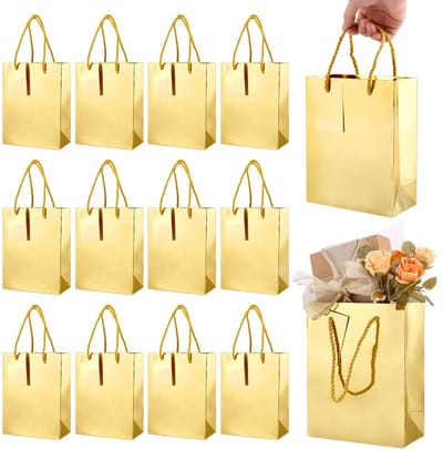 Dailygoods- Geschenkzakjes 12 stuks - Papieren Cadeauverpakking - Kleine Geschenktasjes - Handvatten - Perfecte Afmetingen 5,9 x 3 x 7,5 inch - Ideaal voor Sieraden en Cadeaus - Cadeautas