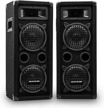 Auna PW-65x22 MKII passief PA-paar luidsprekers 6,5" subwoofer 300W RMS/600 W