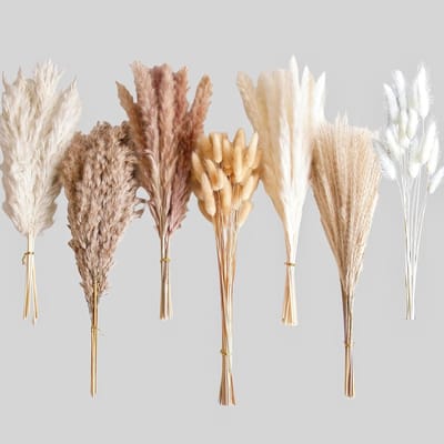 Famanu – Gedroogd pampasgras boeket voor boho tafeldecoratie, mix van konijnenstaarten en pampasgras, geschikt voor bruiloften, babyshowers en huisdecoratie