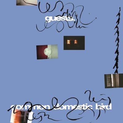 Guests - Common Domestic Bird (LP)