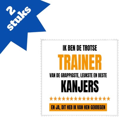 Akyol - trotse trainer brillendoekjes - Trainer - een trainer - sport - verjaardagscadeau - cadeau voor trainer - 17,8 bij 17,8 cm - 2 stuks