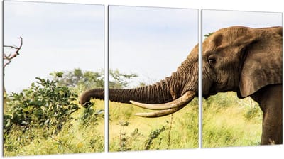 TMK ArtDeko Serie - Glazen Beschermplaat - 3x30x52 cm - Veilige Glasplaat - Veelzijdige Gebruik