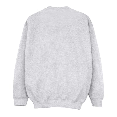 Disney Jongens The Lion King Toekomstige Koning Sweatshirt (Sportgrijs)