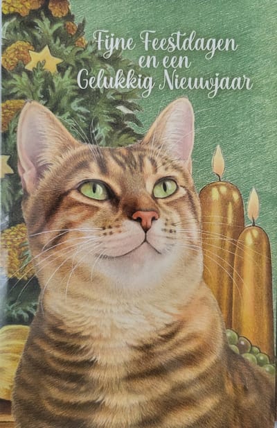 8 dubbele Kerstkaarten Kat met kerstboom en kaarsen - 8 kaarten met enveloppen