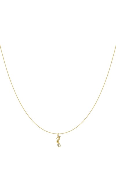 Hangerkettingen Turtle Casual Daily Simple Series Damessieraden