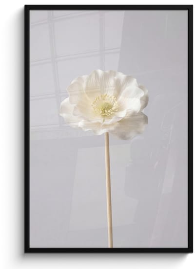 Poster in lijst - Fotolijst 80x120 cm - Posters - Bloem - Minimalistisch -Wit - Posterlijst zwart - Decoratie - Wanddecoratie woonkamer - Muurdecoratie slaapkamer