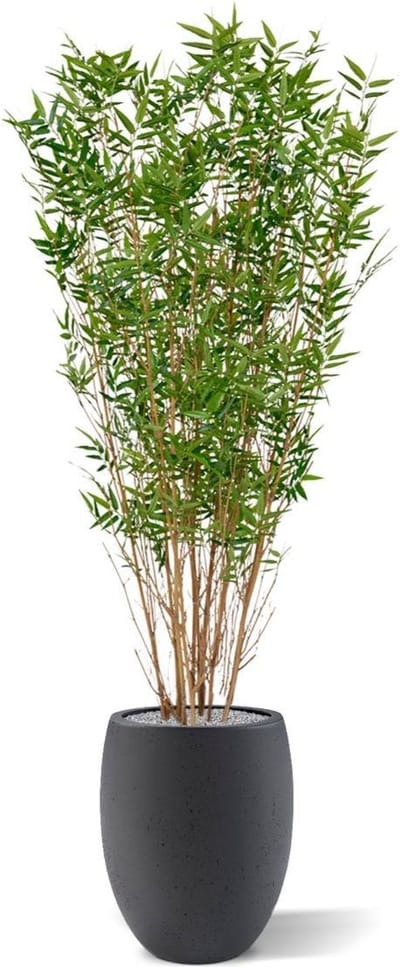 Oriental Bamboe kunstboom 160cm
