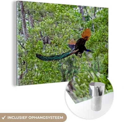 MuchoWow® Glasschilderij 60x40 cm - Schilderij acrylglas - Pauw - Vliegen - Bos - Blauw - Foto op glas - Schilderijen
