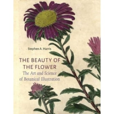 The Beauty Of The Flower - Stephen A. Harris