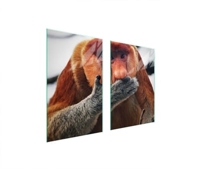 TMK ArtDeko - Beschermplaat Glas - 65x52 cm - Veelzijdig Gebruik