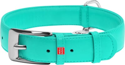 WAUDOG Glamour Halsband / Hondenhalsband - Echt Leder - Mint - XL - Breedte: 35 mm - Nekomtrek: 46 - 60 cm (GELIEVE ALVORENS BESTELLEN OPMETEN)