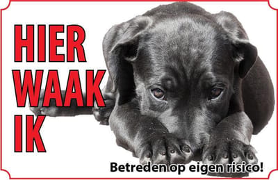 Bord Cane corso