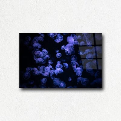 Indoorart - Glasschilderij kwallen 120x80 CM - Afbeelding op plexiglas - Inclusief montagemateriaal