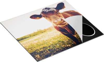 Chefcare Inductie Beschermer Koe in de Wei tijdens Zonsondergang - 60x50 cm - Afdekplaat Inductie - Kookplaat Beschermer - Inductie Mat
