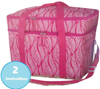 Koeltas - Picknicktas - Cool Bag - 24 Liter - 2 Koelvakken - Opvouwbaar - 38x26x31cm