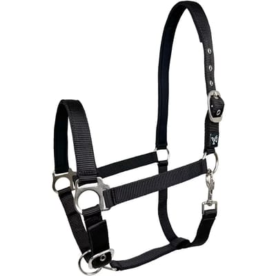 Nylon paardenhalster York Dora