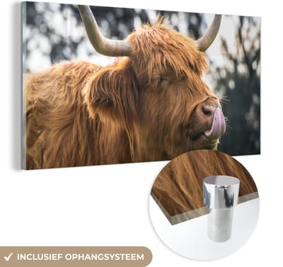 MuchoWow® Glasschilderij 40x20 cm - Schilderij acrylglas - Schotse Hooglander - Neus - Boom - Foto op glas - Schilderijen