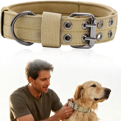 Verstevigde Hondenhalsband met D-Ring, Gewatteerde Nylon Militaire Halsband voor Medium en Grote Honden, Ideaal voor Training en Activiteiten