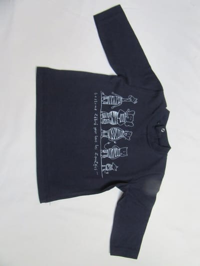petit bateau , t-shirt lange mouw , marine , zebra , 12 maand 74