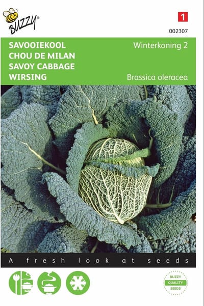 2 stuks - Buzzy - Savooiekool Winterkoning 2