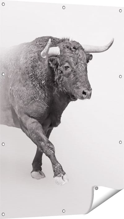 Gards Tuinposter Stier op een Grijze Achtergrond - Zwart Wit - 80x120 cm - Tuindoek - Tuindecoratie - Wanddecoratie buiten - Tuinschilderij