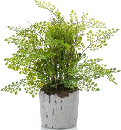 Emerald Kunstplant Varen - 28 cm - In Pot - Decoratie Kunstplanten voor Binnen